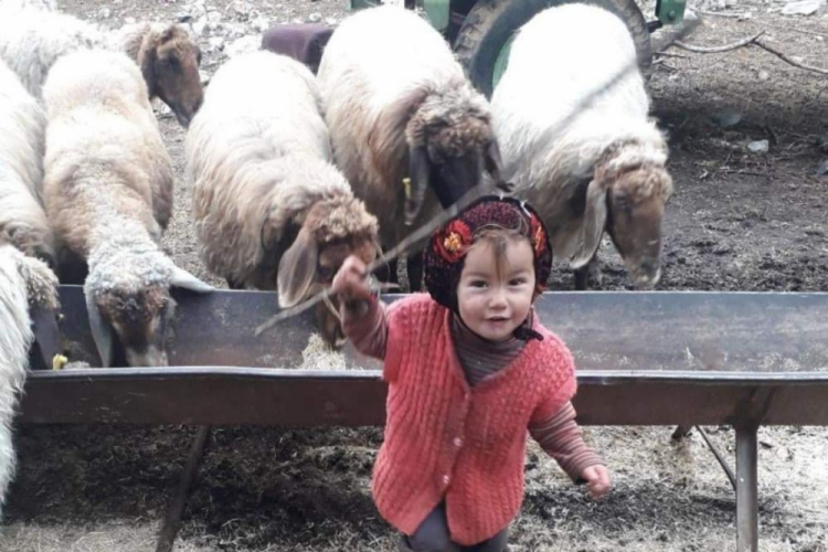 M&uuml;sl&uuml;me'nin kesin &ouml;l&uuml;m nedeni raporu yeniden hazırlanacak