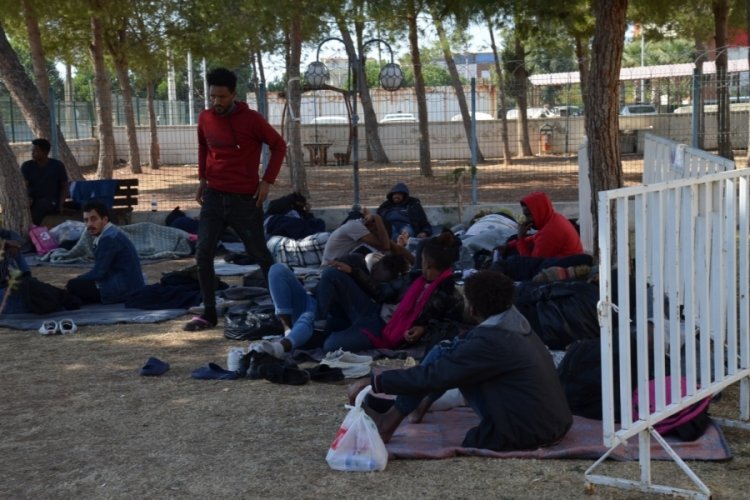 Aydın'da 53 g&ouml;&ccedil;men yakalandı