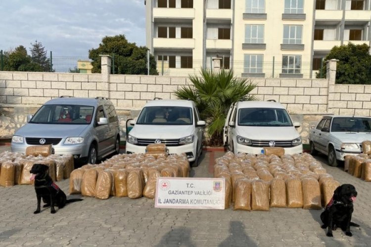 Gaziantep'te ka&ccedil;ak&ccedil;ılık operasyonu: 44 ş&uuml;pheliden 1'i tutuklandı