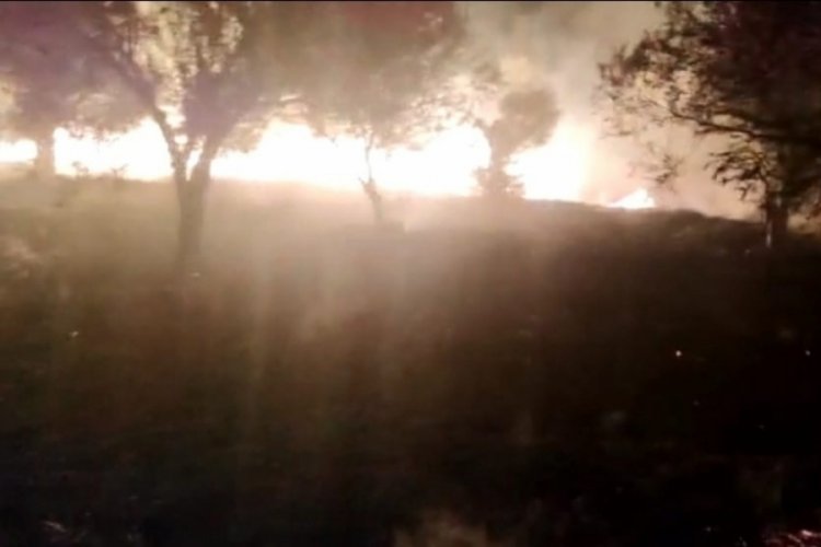 İzmir'de bir şahıs bir haftada 6 k&ouml;yde yangın &ccedil;ıkardı