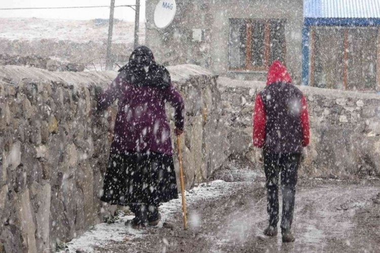 Ardahan'da kar yağışı etkili oldu
