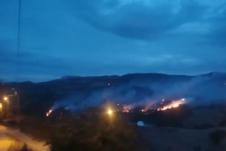İzmir'deki orman yangınında 28 hektarlık alan zarar g&ouml;rd&uuml;