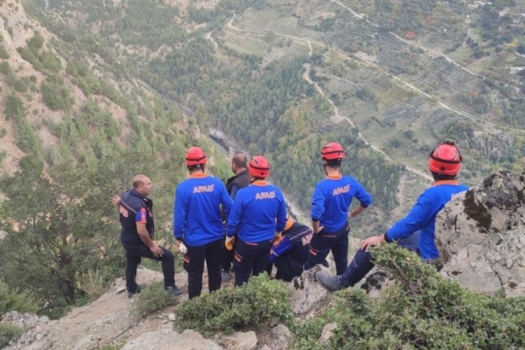 Kahramanmaraş'ta zeytin toplayan adam u&ccedil;uruma yuvarlandı