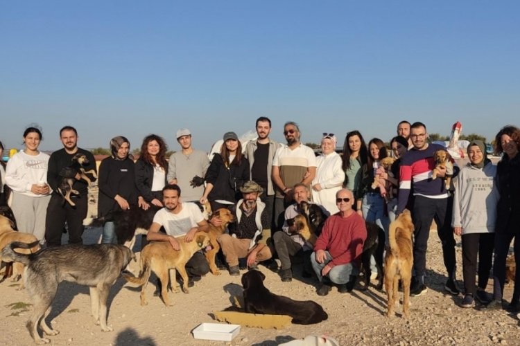 Bursa'da 16 yıldır 800 k&ouml;peği besliyor