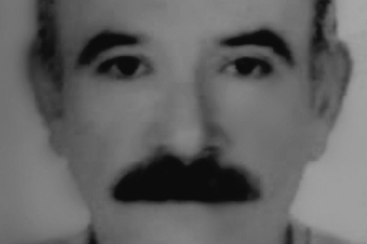 Ceviz ağacından d&uuml;şen şahıs yaşamını yitirdi