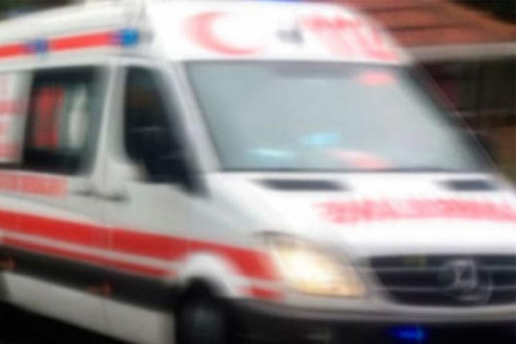 Muğla'da eşinin kestiği dal sonu oldu