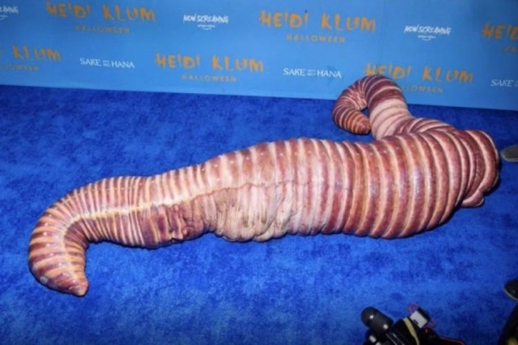 Heidi Klum'un kost&uuml;m&uuml; hem şaşırttı hem iğrendirdi