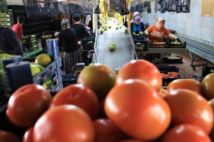 Avrupa'dan talep &uuml;st&uuml;ne talep geliyor!