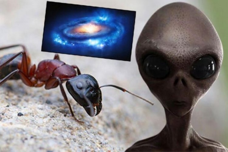 Bilim insanlarından şaşırtan 'uzaylı' tespiti! Bizi karınca gibi mi g&ouml;r&uuml;yorlar?