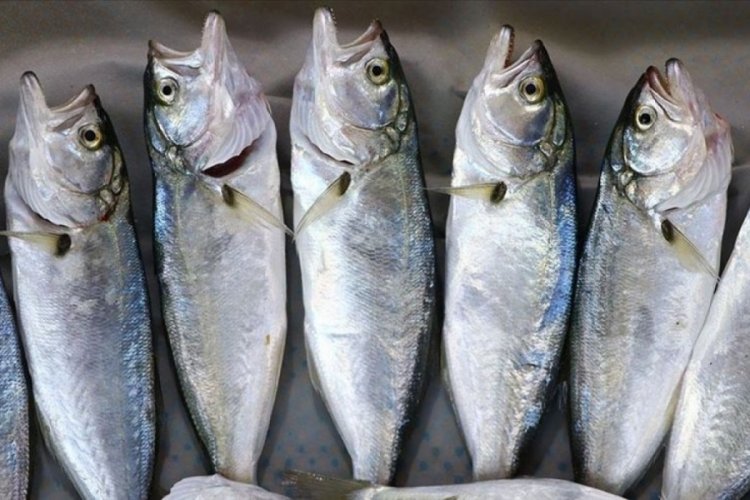Tekirdağ'da &ccedil;inekop, tezgahlardaki yerini aldı