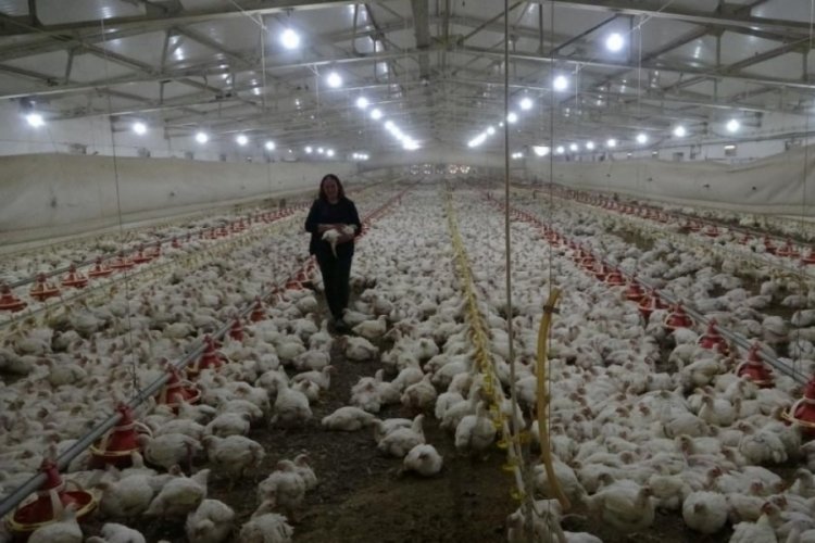 Malatya'da iki &ccedil;ocuk annesi kendi işinin patronu oldu