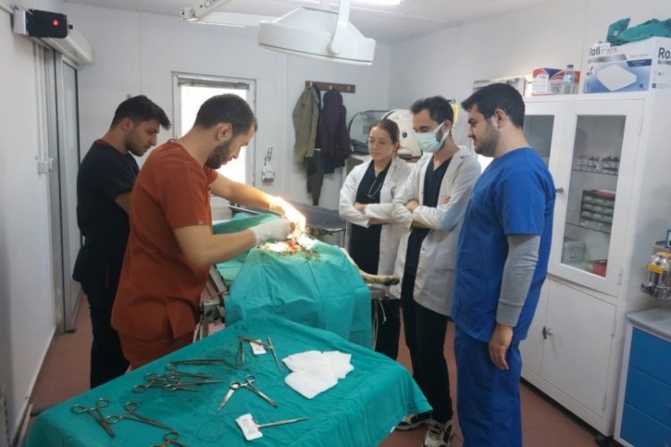 Uludağ &Uuml;niversitesi'nin veteriner hekim adaylarına uygulamalı eğitim