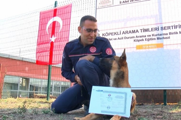 AFAD'dan K&ouml;pekli Arama Timi Sertifika t&ouml;reni