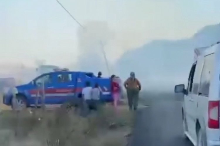 Balıkesir'de ormanlık alanda yangın
