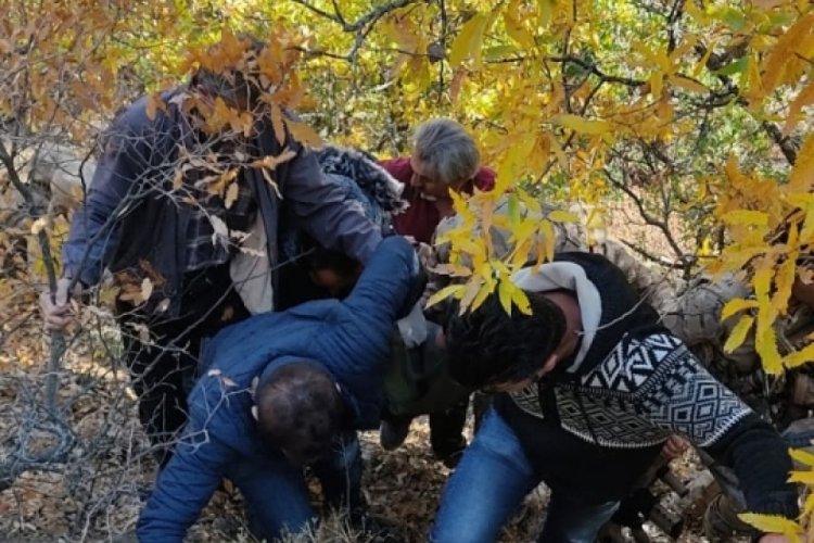 Bing&ouml;l'de kuşburnu toplanken kaybolan 90 yaşındaki kadın bulundu