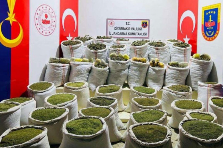 Jandarmadan ter&ouml;r&uuml;n finans kaynağına operasyon