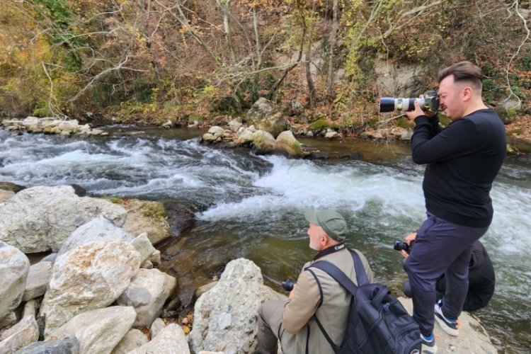 Bursa Sadağı Kanyonu'nda doğa fotoğraf&ccedil;ıları bir araya geldi