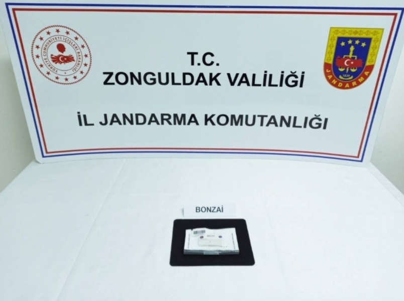 Zonguldak'ta uyuşturucu operasyonu: 6 ş&uuml;pheliden 3'&uuml; tutuklandı