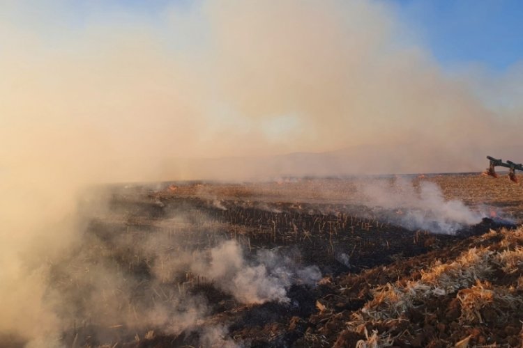 Eskişehir'de 105 d&ouml;n&uuml;ml&uuml;k arazi k&uuml;le d&ouml;nd&uuml;