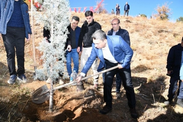 Malatya'da 5 bin fidan toprakla buluştu