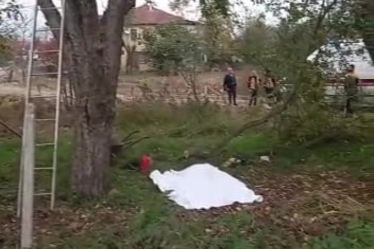 D&uuml;zce'de kestiği ağacın altında kalan yaşlı adam hayatını kaybetti