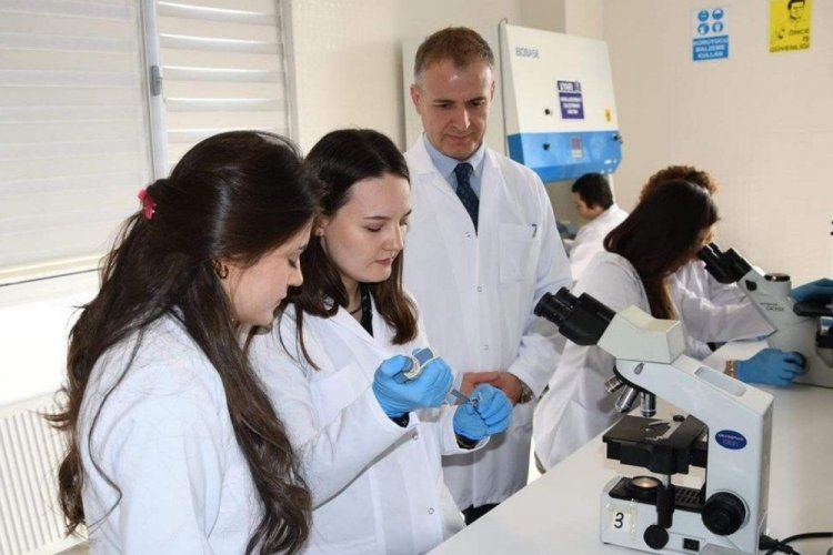 T&uuml;rkiye'de kanser aşısı &ccedil;alışmalarında hayvan deneylerine ge&ccedil;iliyor