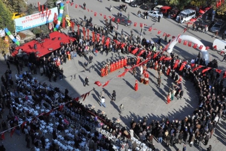 Bursa Orhangazi'de 44. zeytin festivali "bu yıl yaşanmayacak"