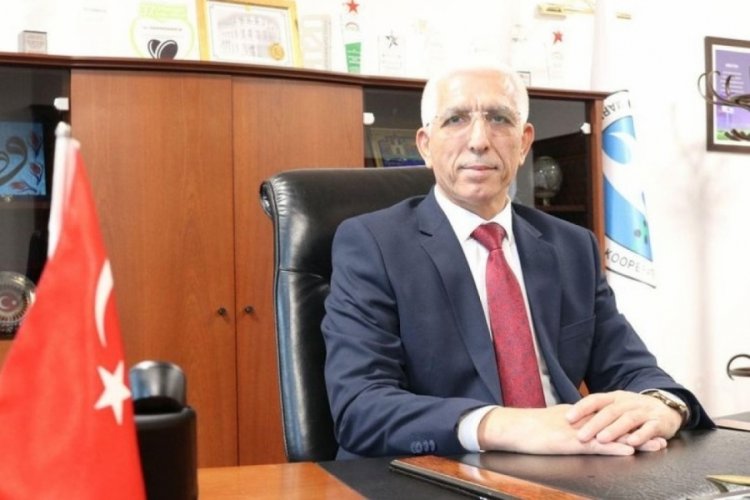 Hidamet Asa: Zeytin ağa&ccedil;larını kesmeyin, onlara iyi bakın