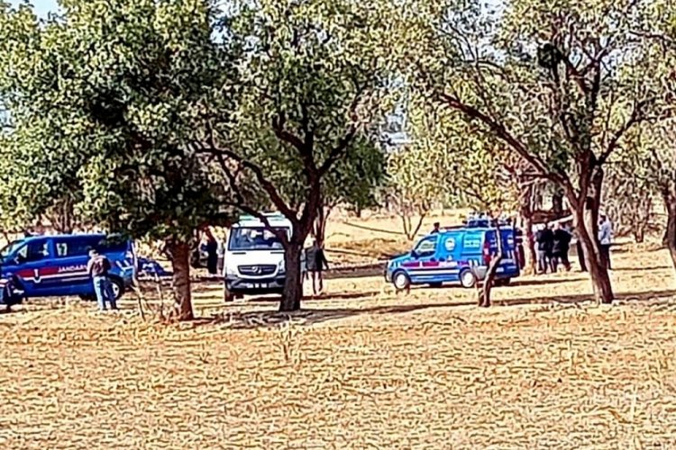 Denizli'de koyunlarını beslemek i&ccedil;in &ccedil;ıktığı ağa&ccedil;tan d&uuml;şerek hayatını kaybetti