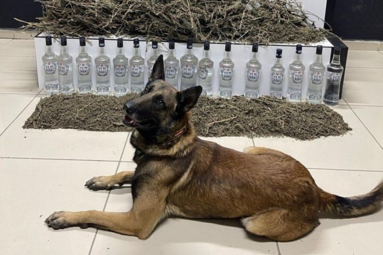 Balıkesir'de uyuşturucu operasyonu: 13 g&ouml;zaltı