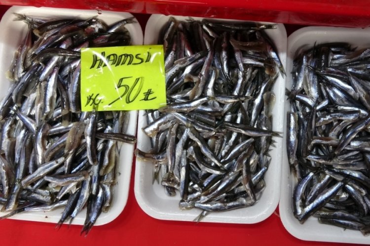 Palamudun bolluğu hamsiyi etkiledi