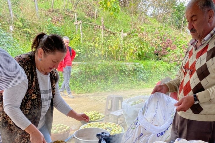 Giresun'da &uuml;retilen 5 ton elma ekonomiye kazandırılacak