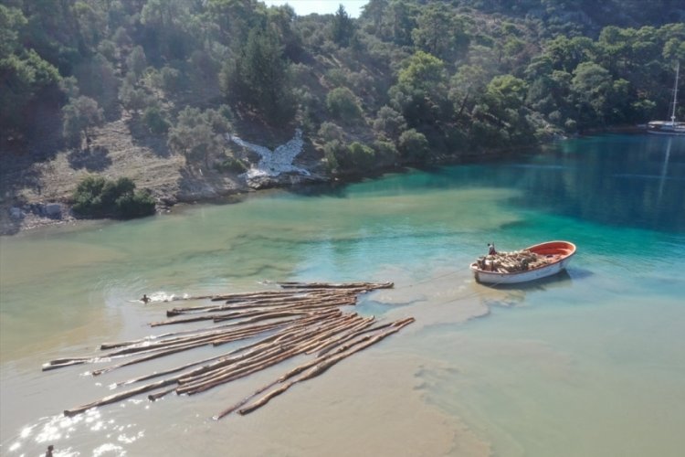 Muğla'da karadan ulaşımın olmadığı noktalarda kesilen ağa&ccedil;lar tekneyle taşındı