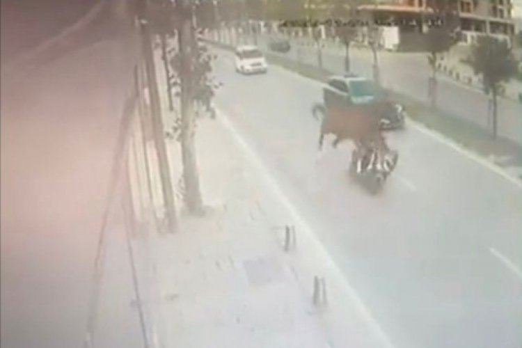 İstanbul'da yola &ccedil;ıkan ata motosiklet &ccedil;arptı