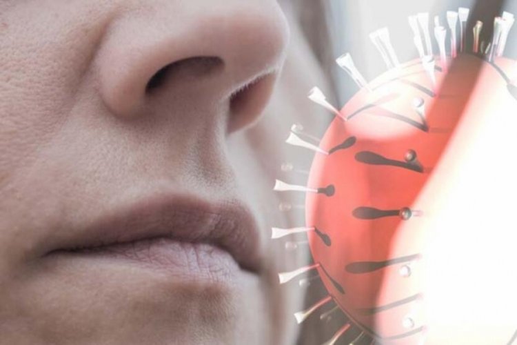 Bilim Kurulu &Uuml;yesi Şener'den '&uuml;&ccedil;l&uuml; vir&uuml;s' uyarısı: Tırmanış devam ederse...