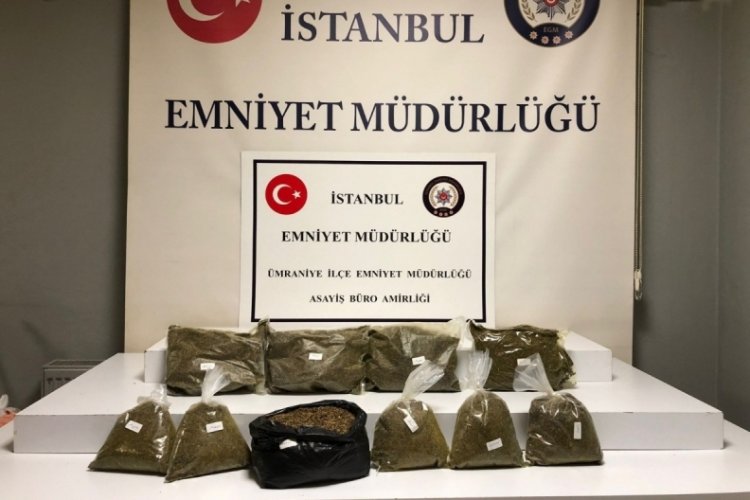 İstanbul &Uuml;mraniye'de 7 kilo bonzai &ccedil;ıktı