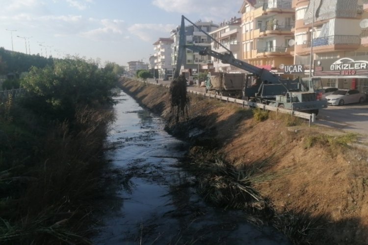 Balık &ouml;l&uuml;mleriyle g&uuml;ndeme gelmişti! Kanal temizleniyor