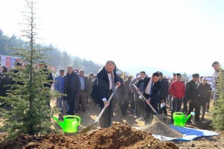 Bursa Orhaneli'de Milli Ağa&ccedil;landırma G&uuml;n&uuml;'nde 1111 fidan toprakla buluşturuldu