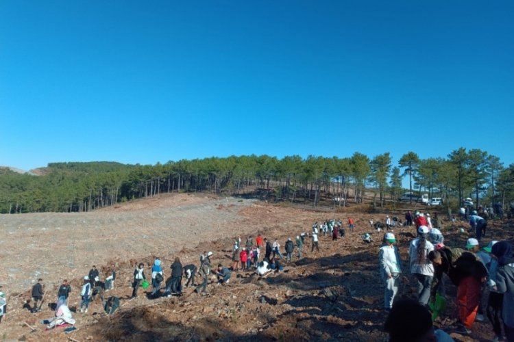 Harmancık'ta Milli Ağa&ccedil;landırma G&uuml;n&uuml;'nde 1000 fidan toprakla buluşturuldu