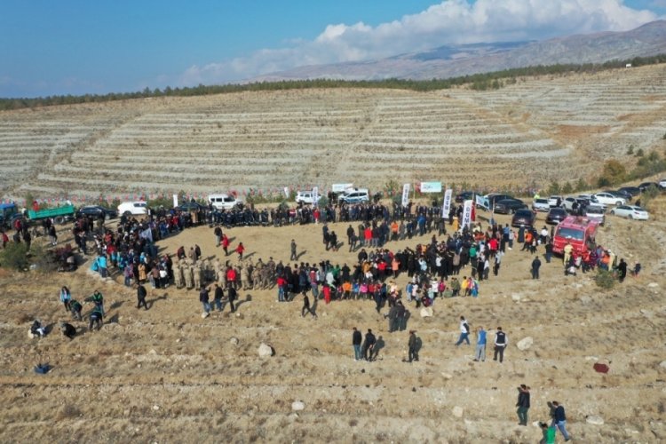 Erzincan'da 410 d&ouml;n&uuml;m alanda 36 bin adet fidan toprakla buluşturuldu