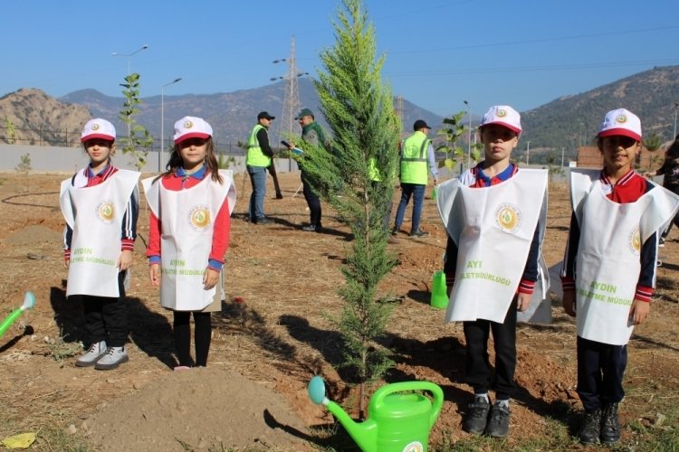 Aydın'da 109 bin fidan toprakla buluştu