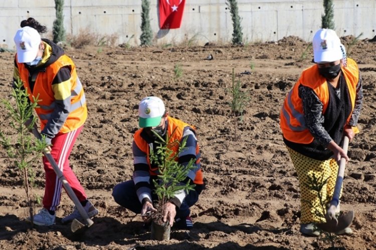 Trakya'da "Milli Ağa&ccedil;landırma G&uuml;n&uuml;"nde fidanlar toprakla buluşturuldu