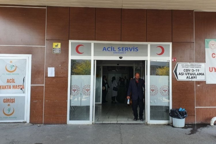 Diyarbakır'da &ouml;nce pitbull sonra sokak k&ouml;peği saldırısı
