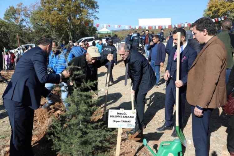 Bursa İneg&ouml;l'de y&uuml;zlerce fidan toprakla buluştu