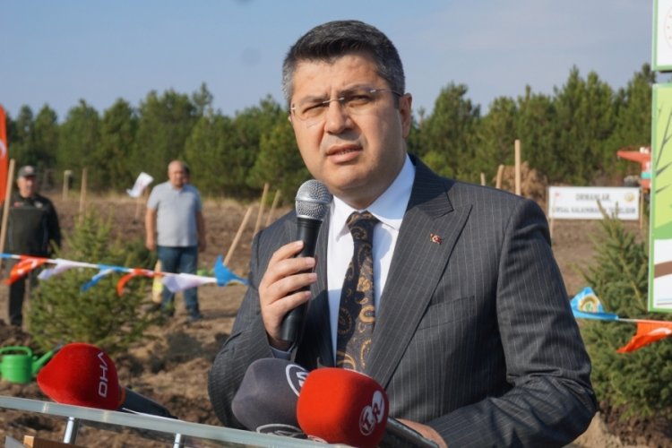 Edirne'de 32 bin fidan toprakla buluştu