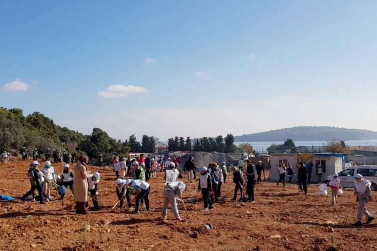 B&uuml;y&uuml;kada'da Milli Ağa&ccedil;landırma G&uuml;n&uuml; dolayısıyla 1111 fidan dikildi