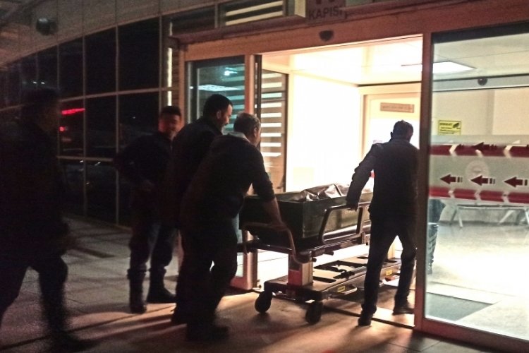 Samsun'da kestiği kavak ağacının altında kalan şahıs hayatını kaybetti