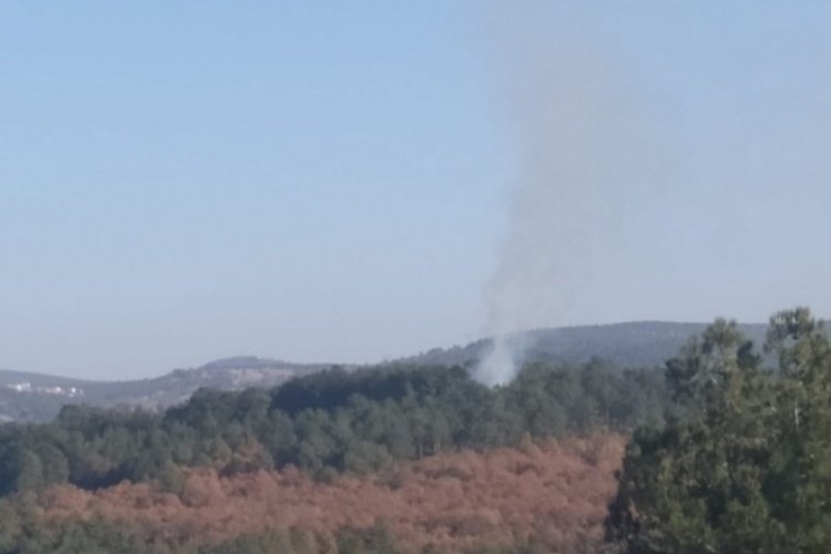 Bursa'nın Harmancık il&ccedil;esinde orman yangını &ccedil;ıktı