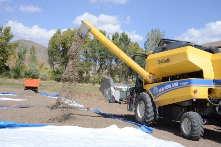 Erzurum'da tarımsal &uuml;retim &ccedil;ift&ccedil;inin y&uuml;z&uuml;n&uuml; g&uuml;ld&uuml;rd&uuml;