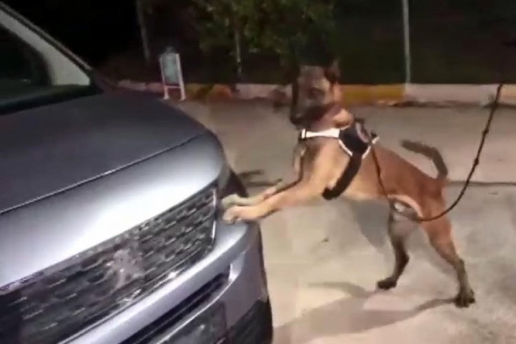 Kocaeli'nde ş&uuml;pheli aracın her yerinden uyuşturucu &ccedil;ıktı